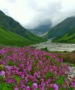 mesmerizing view of hemkund trek