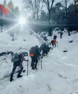 trekkers climbing towards kedarkantha peak