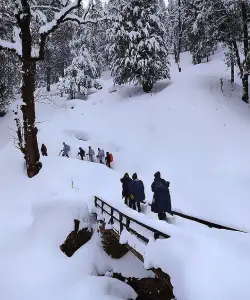 trekkers walking on kedarkantha trail